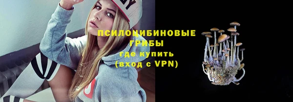 СК Алексеевка