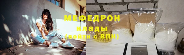 индика Абаза
