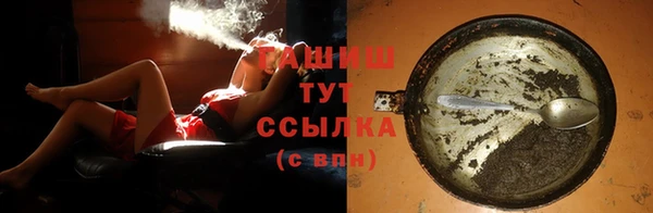 индика Абаза