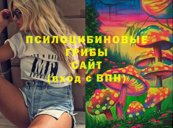 молекула духа Армянск
