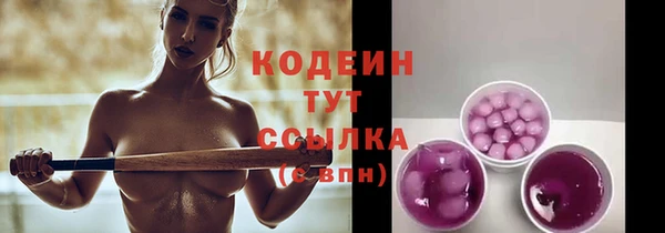 индика Абаза