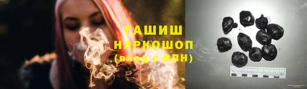 индика Абаза
