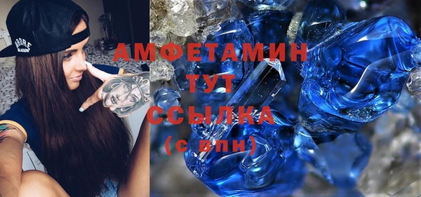 индика Абаза