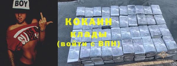 индика Абаза